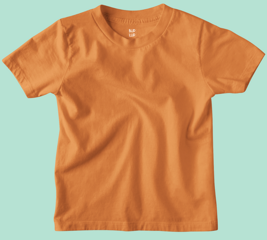 Boys Regular Fit 100% Cotton T-Shirts - Orange