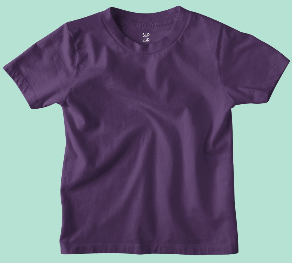 Boys Regular Fit 100% Cotton T-Shirts - Purple