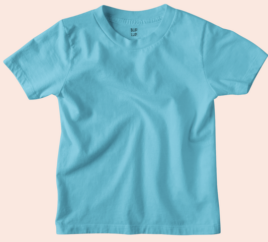 Boys Regular Fit 100% Cotton T-Shirts - Sky Blue